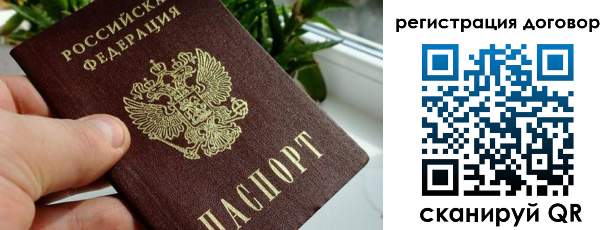 прописка ребенка в Домодедово
